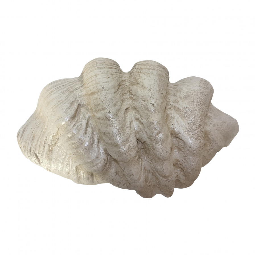 Sagebrook - 16" Pearlized Clam Shell Bowl