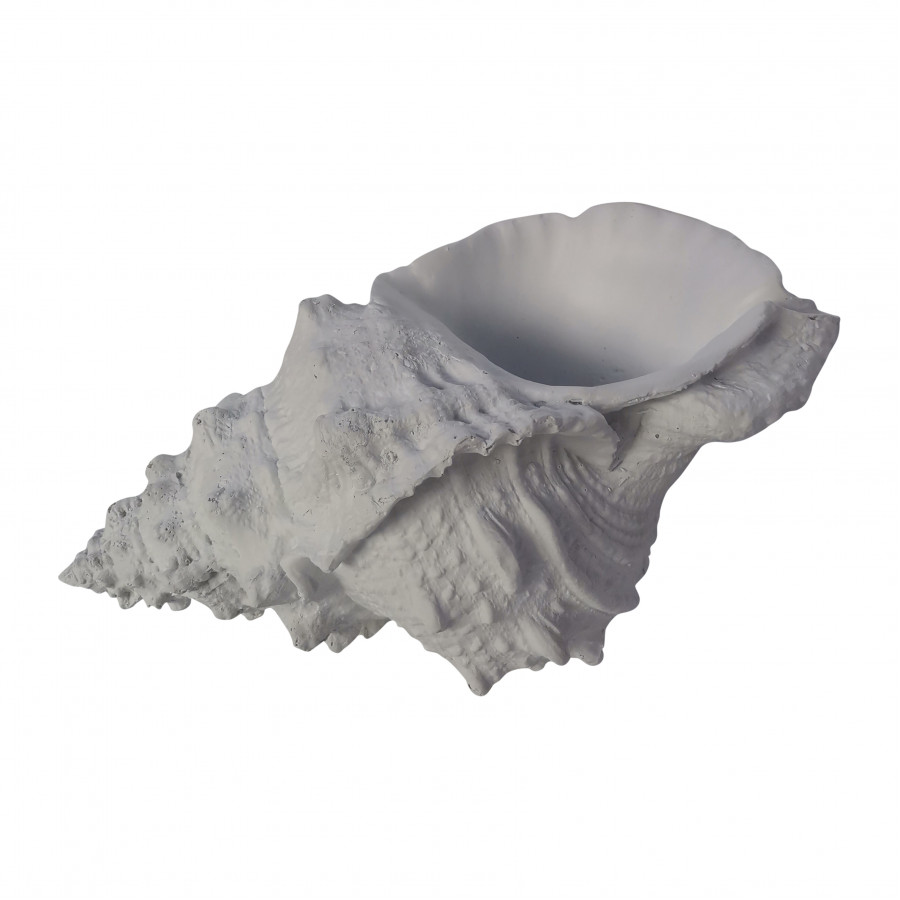 Sagebrook - 9" Conch Shell in White