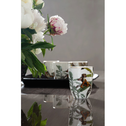 Status - Medea 2 Door China w/light