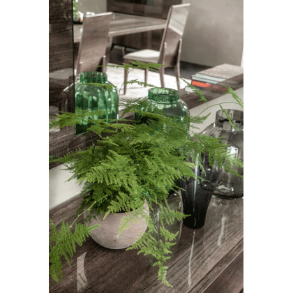 Status - Medea Mirror For Buffet