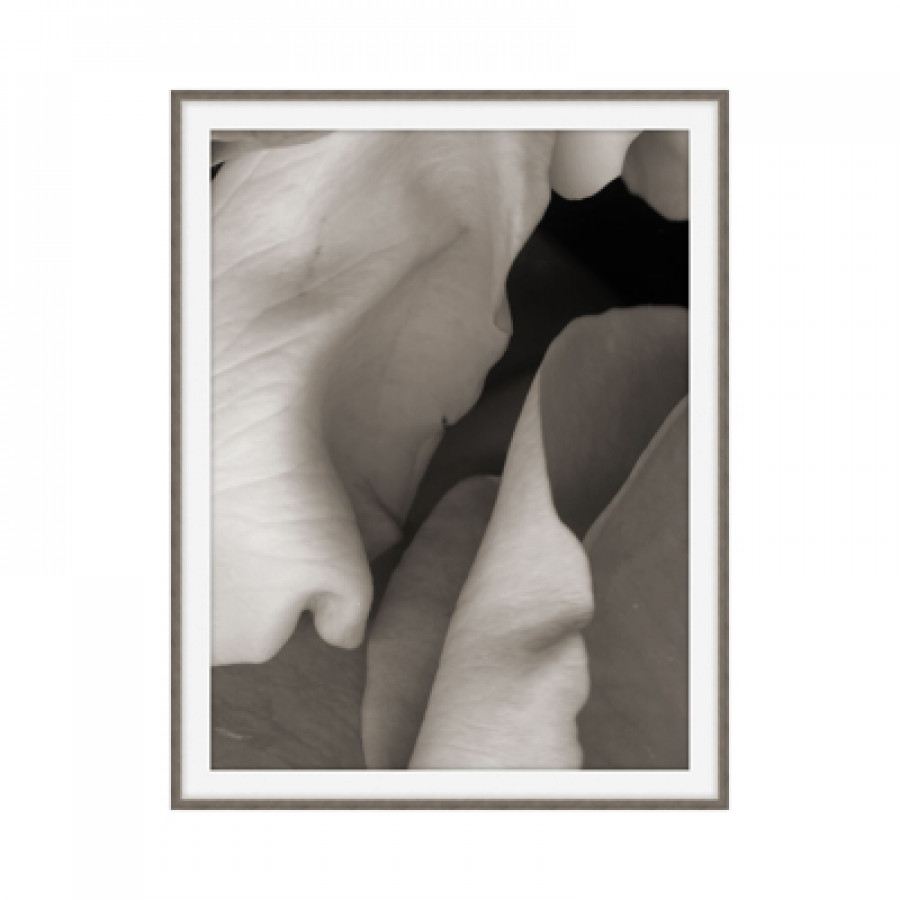 Theodore Alexander - Be Mine II Wall Art