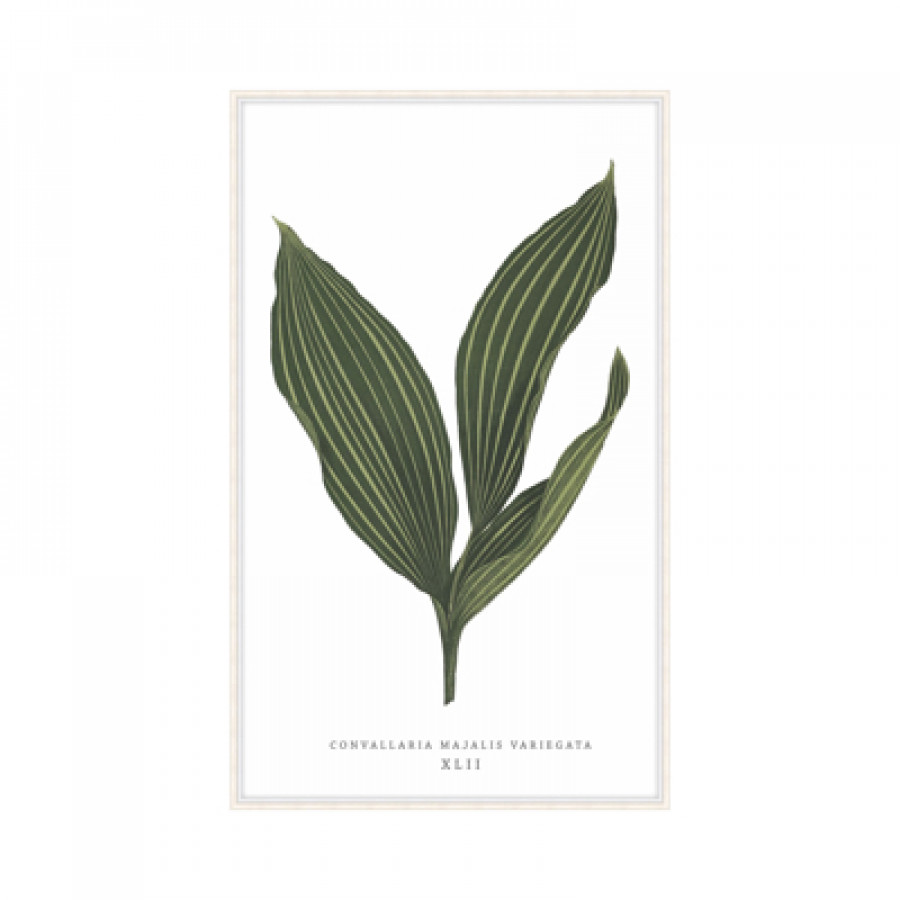 Theodore Alexander - Green Trace Vi Wall Art