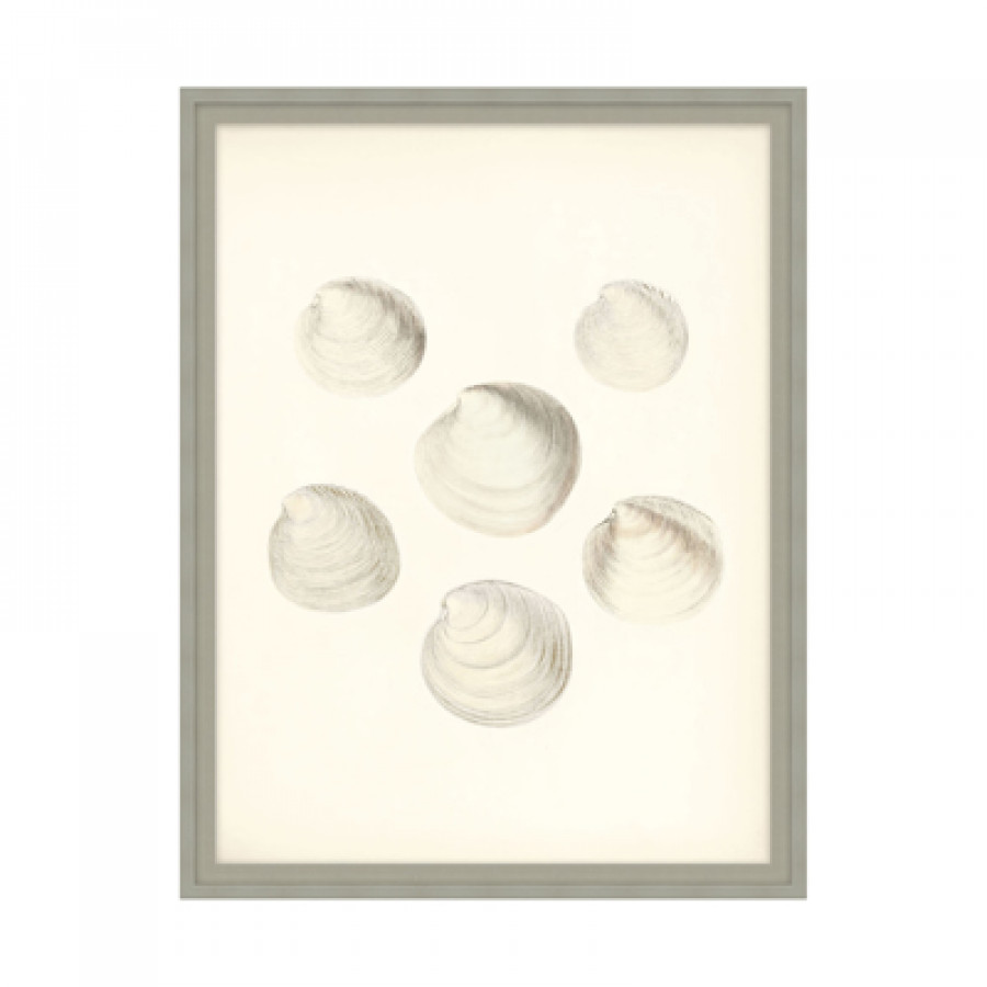 Theodore Alexander - Sea Trinkets I Wall Art