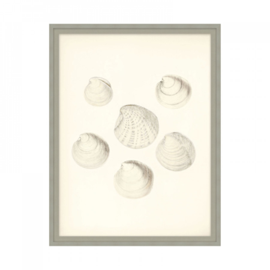 Theodore Alexander - Shore's Treasure I Wall Art
