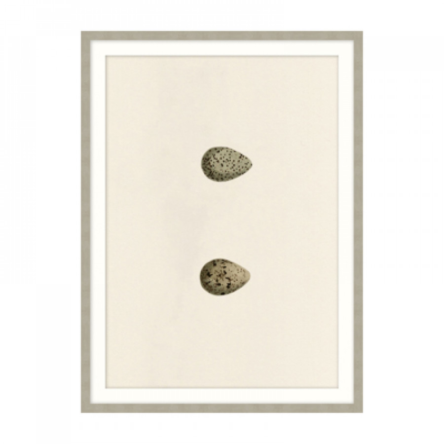 Theodore Alexander - Unhatched I Wall Art