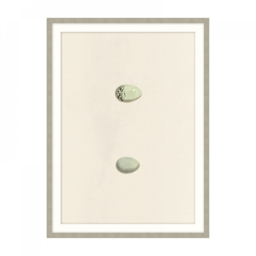 Theodore Alexander - Unhatched 2 Wall Art