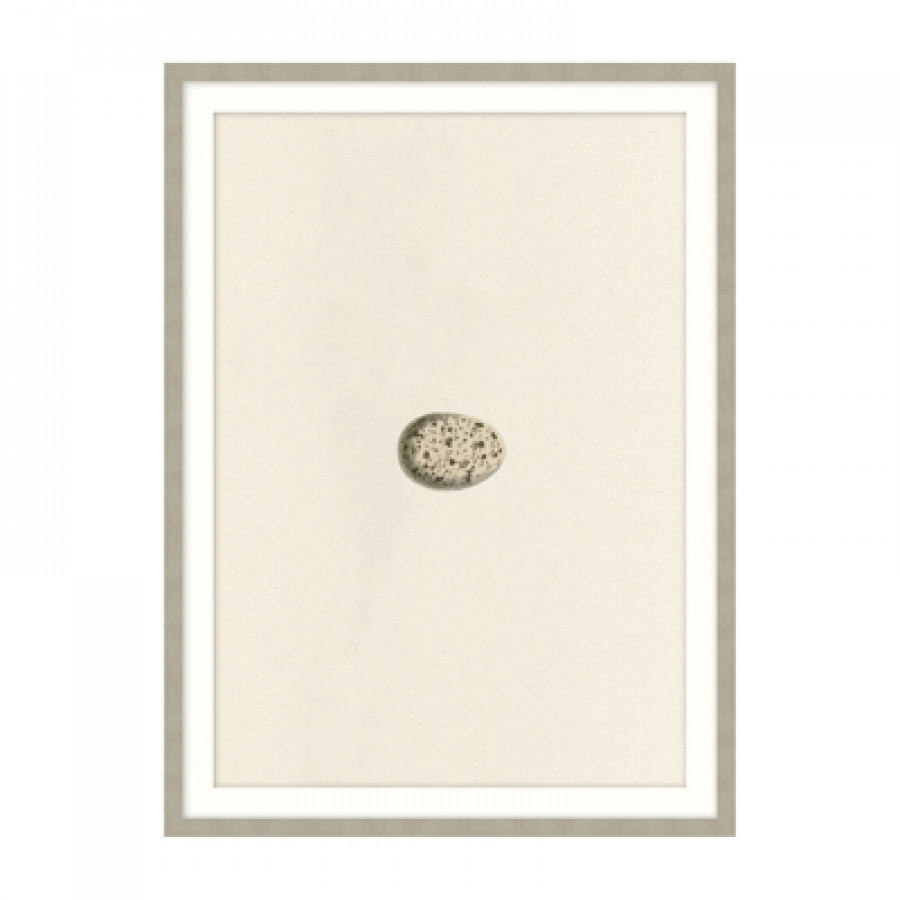 Theodore Alexander - Unhatched 3 Wall Art