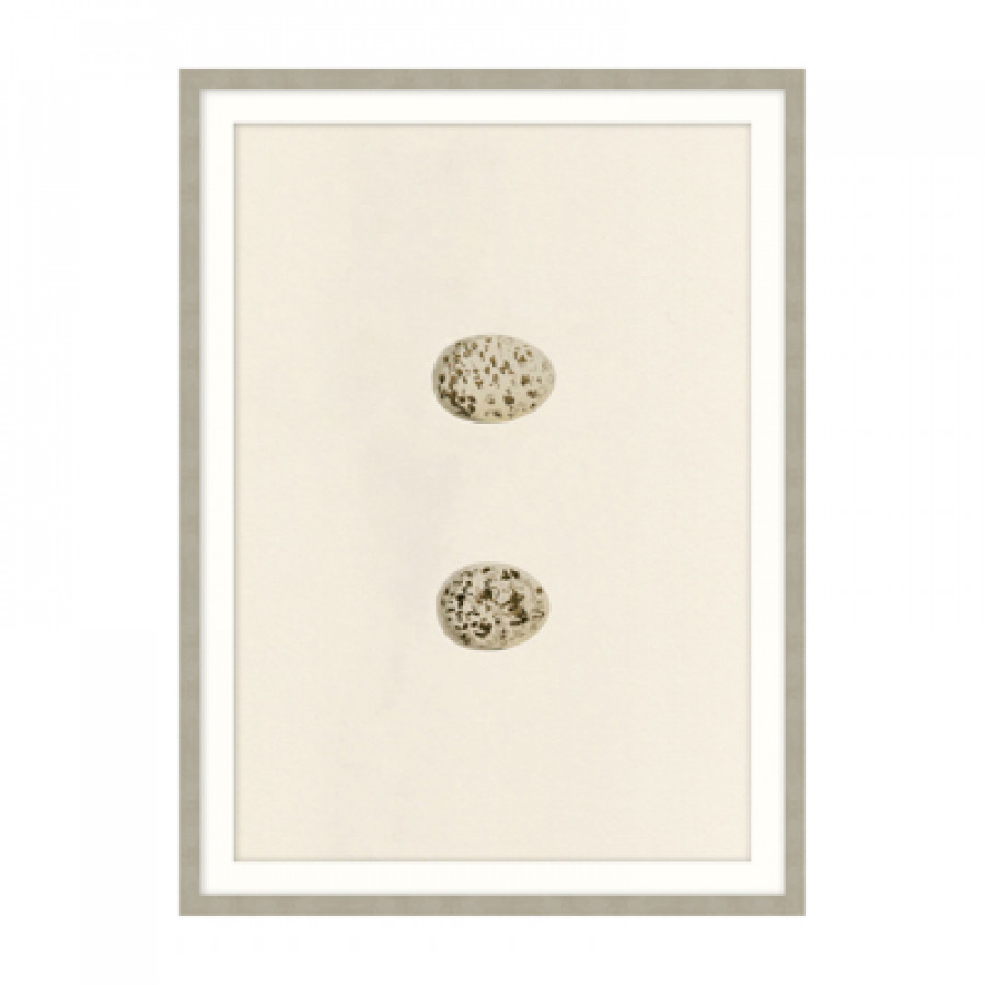 Theodore Alexander - Unhatched 4 Wall Art
