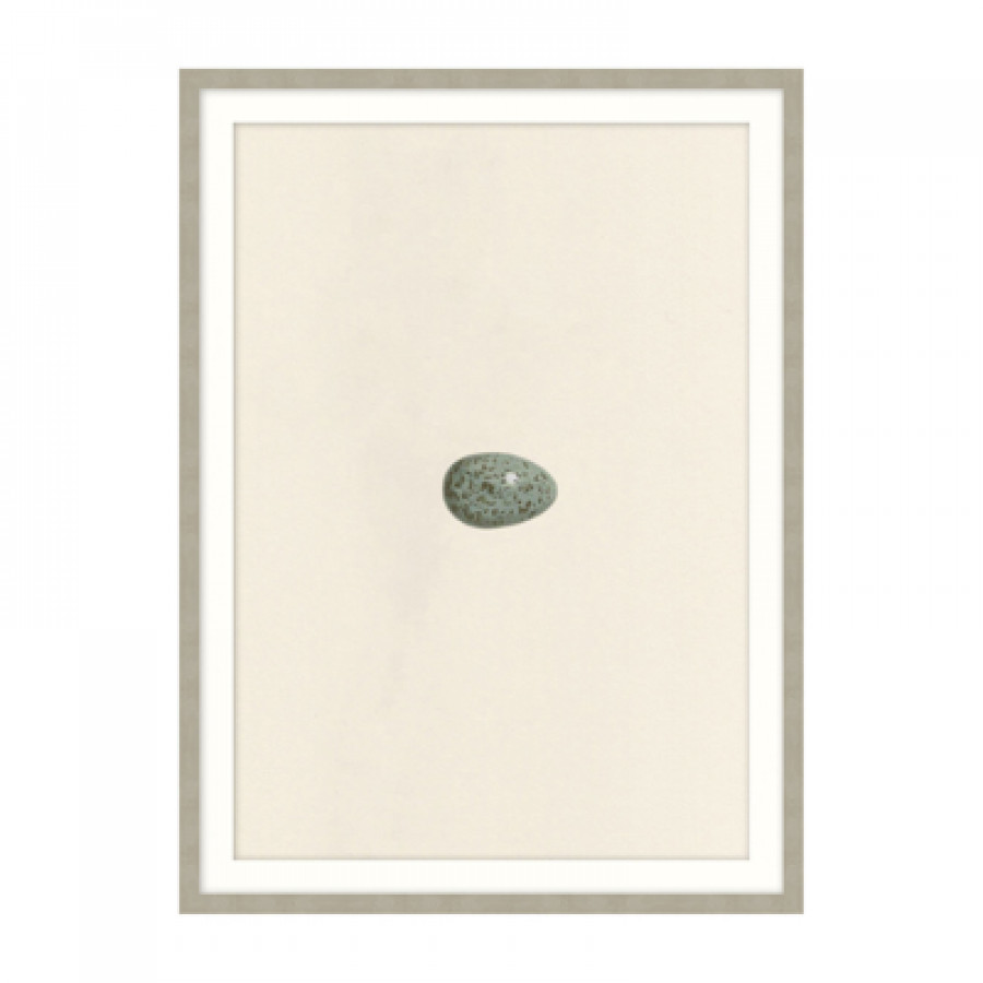 Theodore Alexander - Unhatched 5 Wall Art