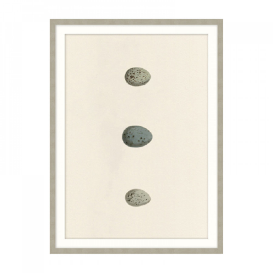 Theodore Alexander - Unhatched 6 Wall Art
