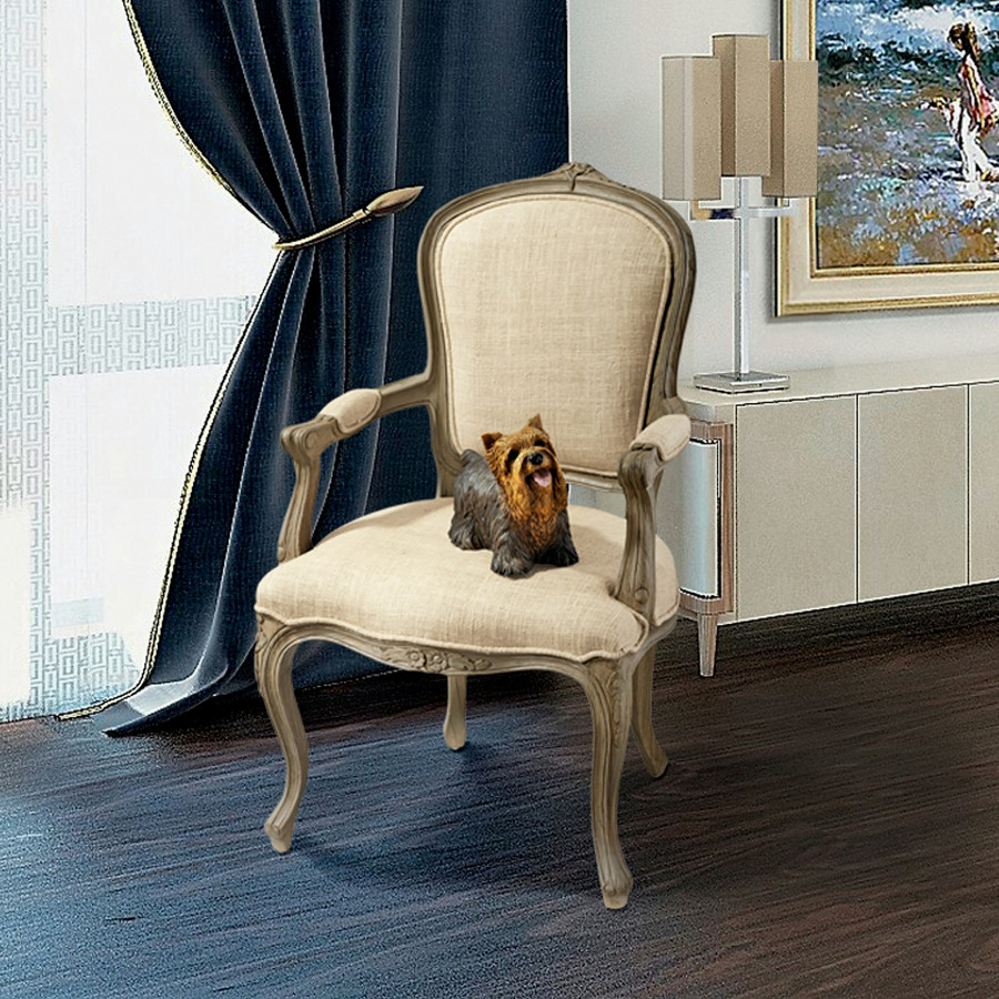 Toscano - The Carlisle Louis XV Armchair in Cream, Fabric/Mahogany