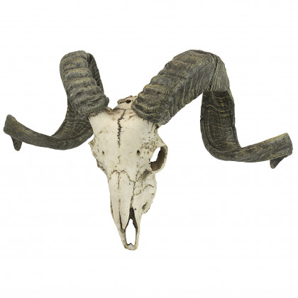 Toscano - Corsican Ram Skull and Horns Trophy Wall Sculpture