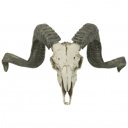 Toscano - Corsican Ram Skull and Horns Trophy Wall Sculpture