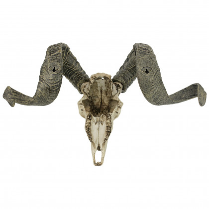 Toscano - Corsican Ram Skull and Horns Trophy Wall Sculpture
