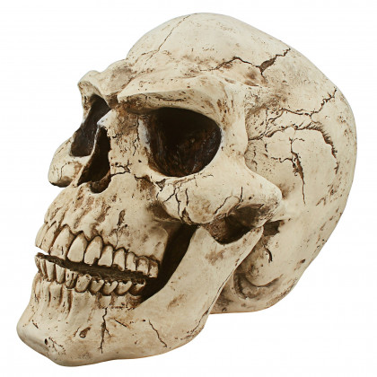 Toscano - Sinister Simon Giant Skull Statue