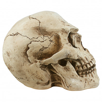 Toscano - Sinister Simon Giant Skull Statue