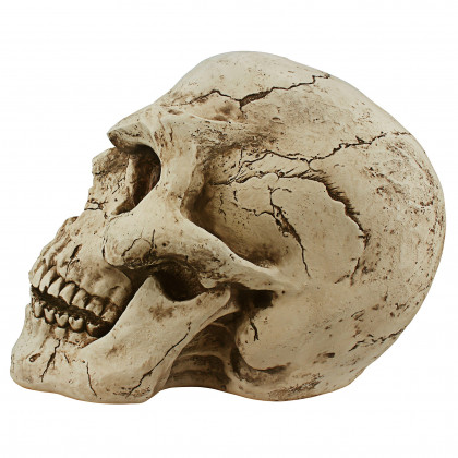 Toscano - Sinister Simon Giant Skull Statue