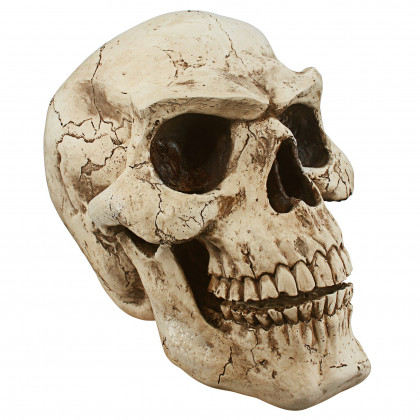 Toscano - Sinister Simon Giant Skull Statue