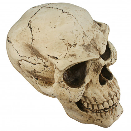 Toscano - Sinister Simon Giant Skull Statue