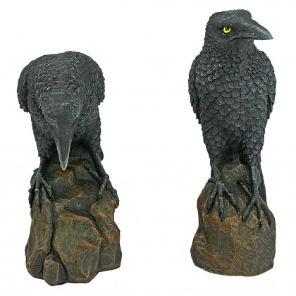 Toscano - Mystic Night Raven Statue Set