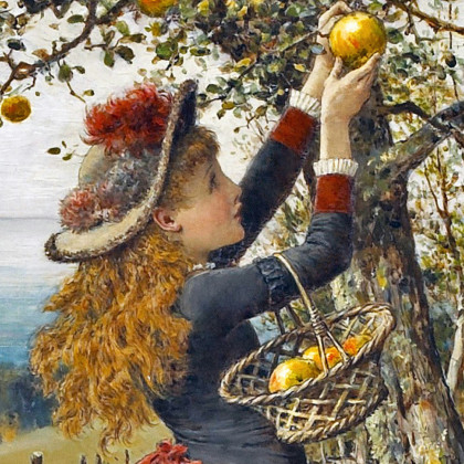 Toscano Picking Apples Framed Canvas Replica Painting - Medium