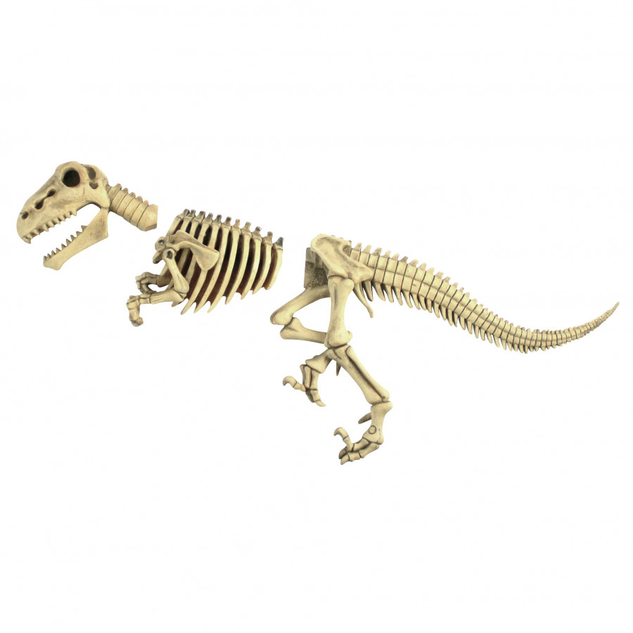 Toscano - Raptor Dinosaur Skeleton Fossil Garden Statue