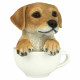 Yellow Lab