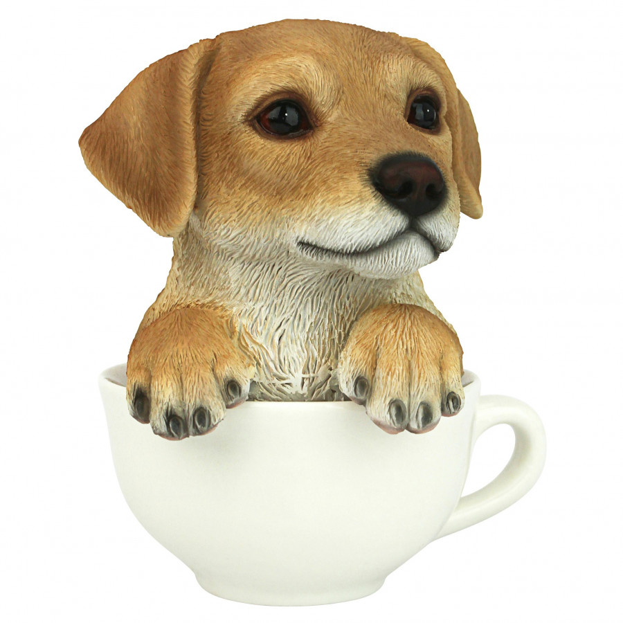 Toscano - Puppuccino Puppy Collectible Dog Statue