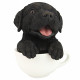Black Lab