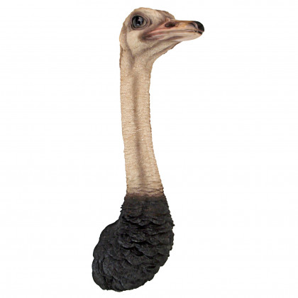 Toscano - Ostrich Bird Trophy Wall Sculpture