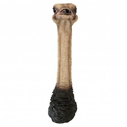 Toscano - Ostrich Bird Trophy Wall Sculpture