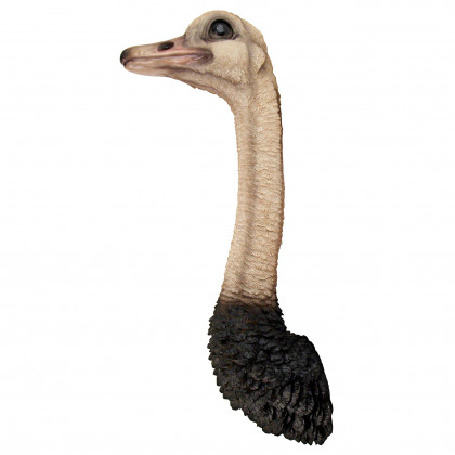 Toscano - Ostrich Bird Trophy Wall Sculpture