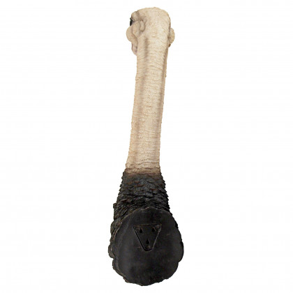 Toscano - Ostrich Bird Trophy Wall Sculpture