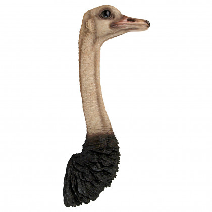 Toscano - Ostrich Bird Trophy Wall Sculpture