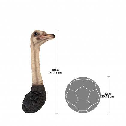 Toscano - Ostrich Bird Trophy Wall Sculpture