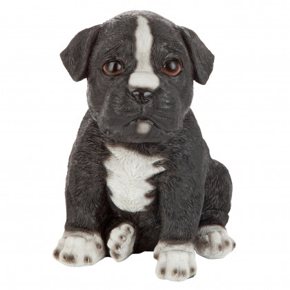 Toscano - Border Collie Puppy Partner Collectible Dog Statue