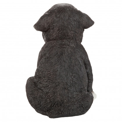 Toscano - Border Collie Puppy Partner Collectible Dog Statue