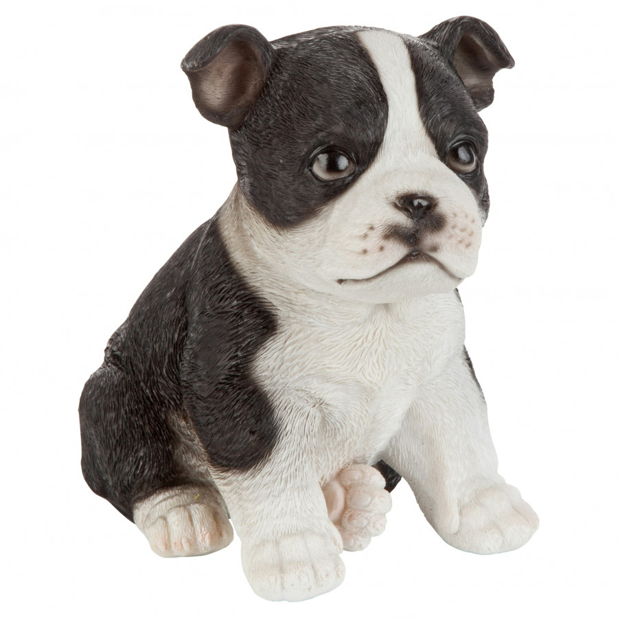Toscano - Boston Terrier Puppy Partner Collectible Dog Statue