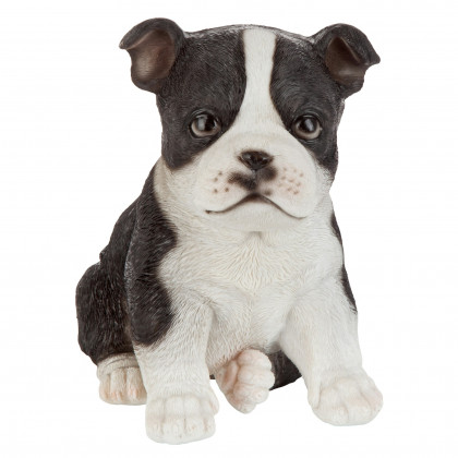 Toscano - Boston Terrier Puppy Partner Collectible Dog Statue