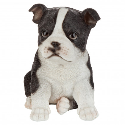 Toscano - Boston Terrier Puppy Partner Collectible Dog Statue