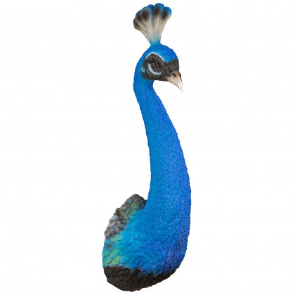 Toscano - Prized Peacock Trophy Wall Sculpture