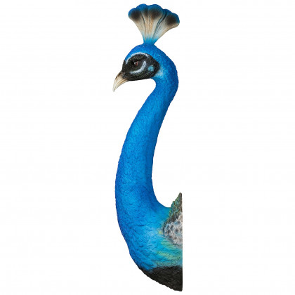 Toscano - Prized Peacock Trophy Wall Sculpture