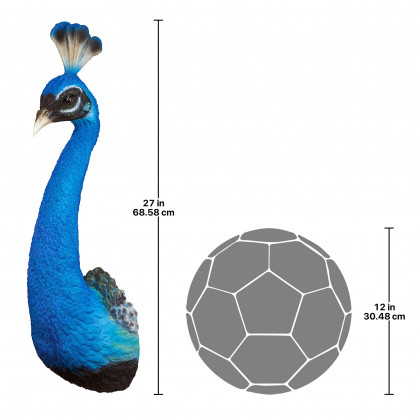Toscano - Prized Peacock Trophy Wall Sculpture