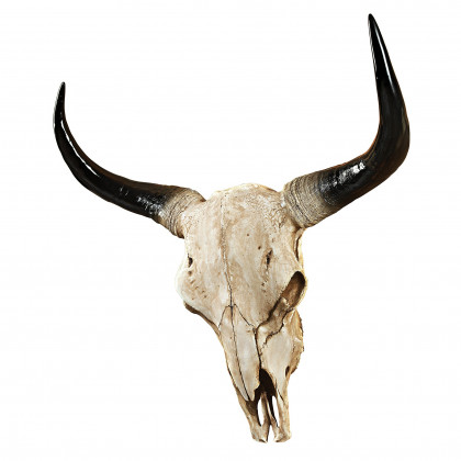 Toscano - Long Horn Steer Trophy Wall Sculpture