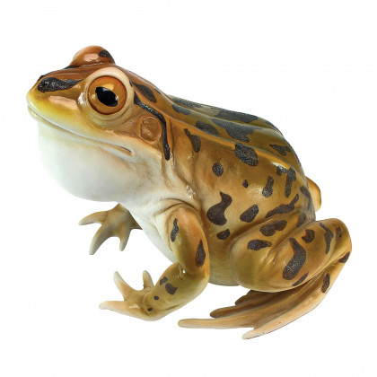 Toscano - Lesterthe Leopard Frog Statue