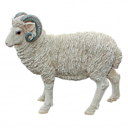 Toscano - Horned Dorset Sheep Statue