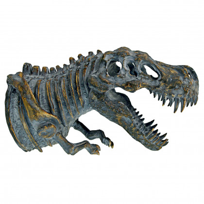Toscano - Bones of the Dinosaur T-Rex Skeleton Wall Sculpture