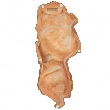 Toscano Classical Fragment Wall Sculpture - Large