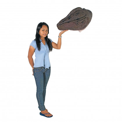 Toscano Giant Allosaurus Dinosaur Wall Trophy - Mouth Closed