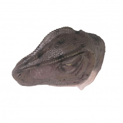 Toscano Giant Allosaurus Dinosaur Wall Trophy - Mouth Closed